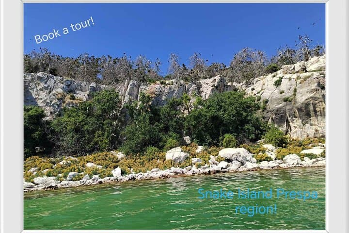 Golem Grad (Snake Island) Boat Tour — Lake Prespa Wildlife & Ruins photo 3
