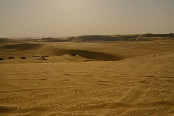 Doha Desert Safari to Dhow Cruise: Full-Day Qatar Adventure photo 4