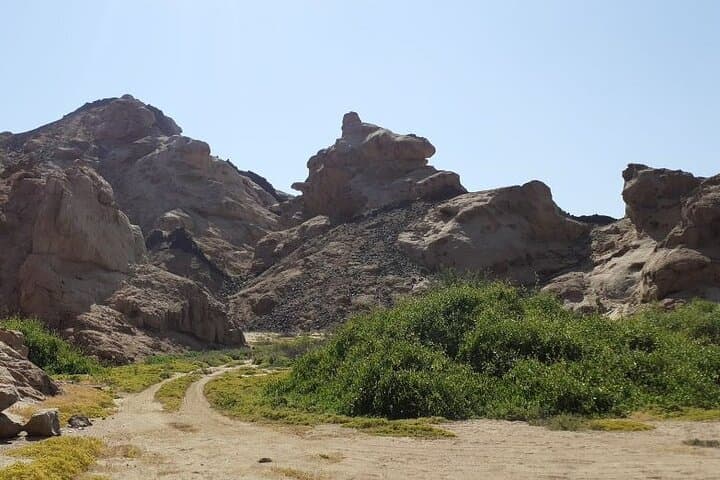 Coast-to-Desert: Swakopmund Adventure Tour from Walvis Bay photo 1