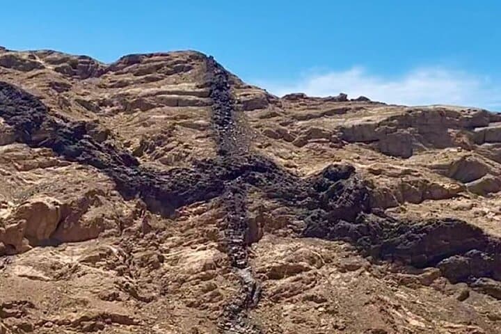 Coast-to-Desert: Swakopmund Adventure Tour from Walvis Bay photo 3