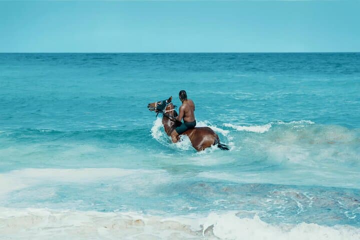 Alicante Horseback Ride in Sierra Maigmó — Private Ride, Picnic & Door-to-Door Transfer photo 5