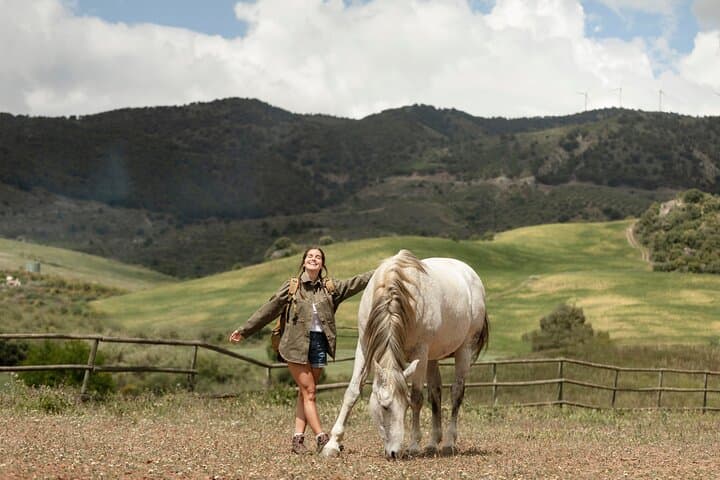 Killarney National Park Horseback Adventure — Guided Rides to Muckross & Lough Leane photo 6