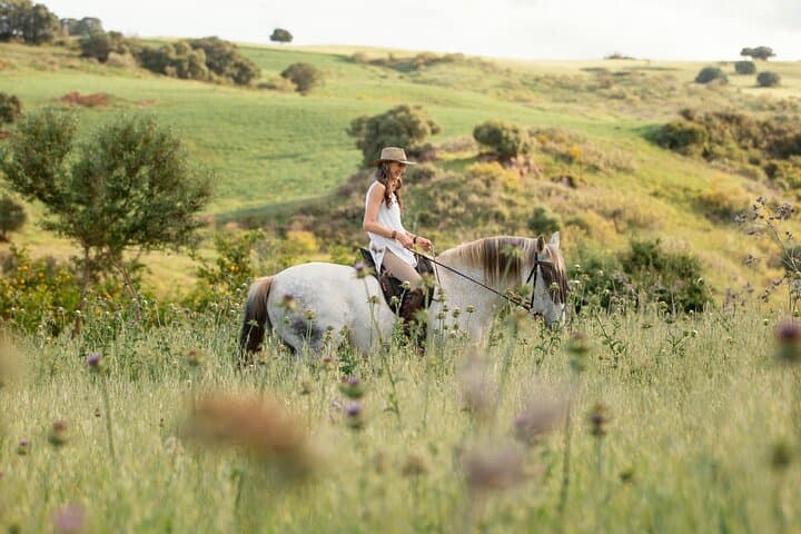 Killarney National Park Horseback Adventure — Guided Rides to Muckross & Lough Leane photo 2