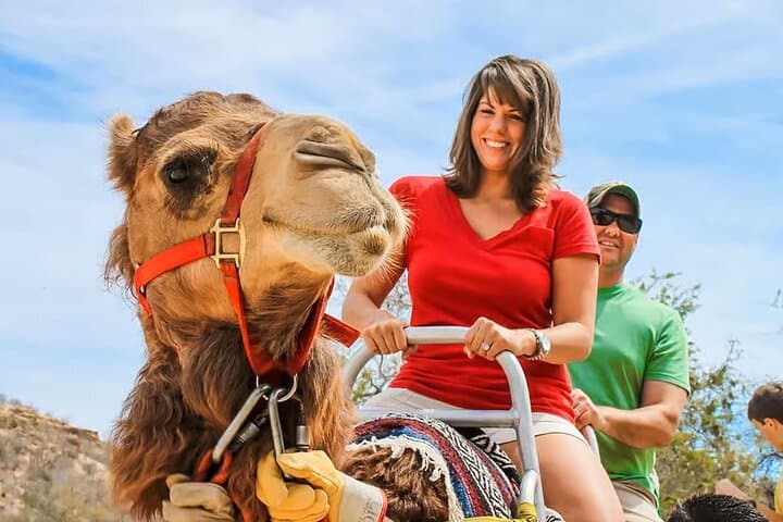 Agadir Desert Adventure: 6-Hour Quad Biking, Camel Ride & Sandboarding photo 4