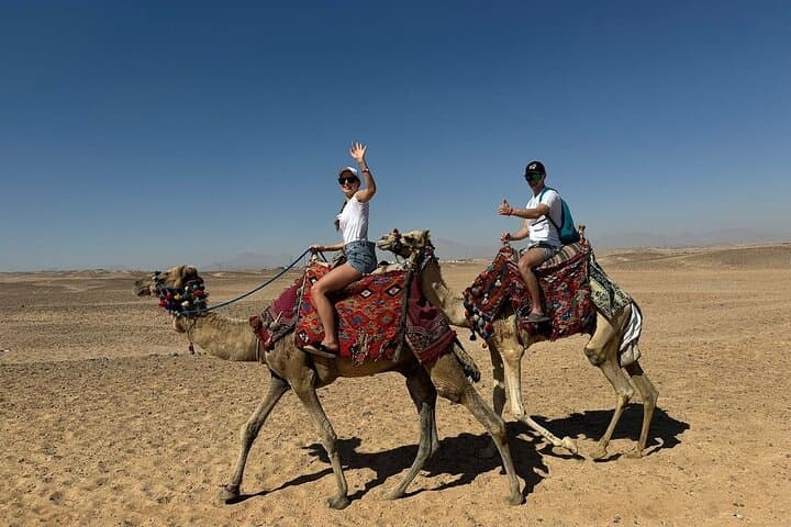 One-Hour Camel Ride in Hurghada Desert with Hotel Transfer photo 2