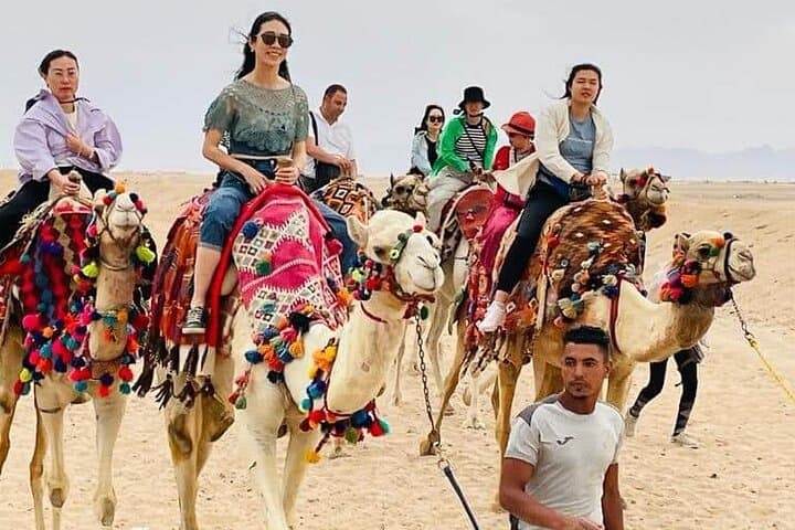 Hurghada Camel Ride: 2-Hour Desert-to-Sea Journey on Camelback photo 5