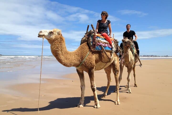 Agadir 3-in-1 Desert Adventure: Quad Biking, Camel Ride & Sandboarding photo 4