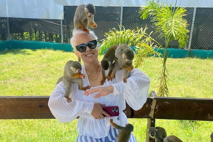 Damajagua 27 Pools and Monkey Sanctuary Tour in Puerto Plata – Full-Day Adventure photo 1