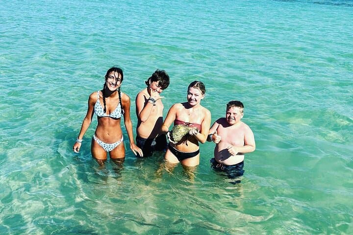 Anna Maria Island Dolphins and Beginner Snorkeling — 4‑Hour Private Wildlife Cruise photo 4