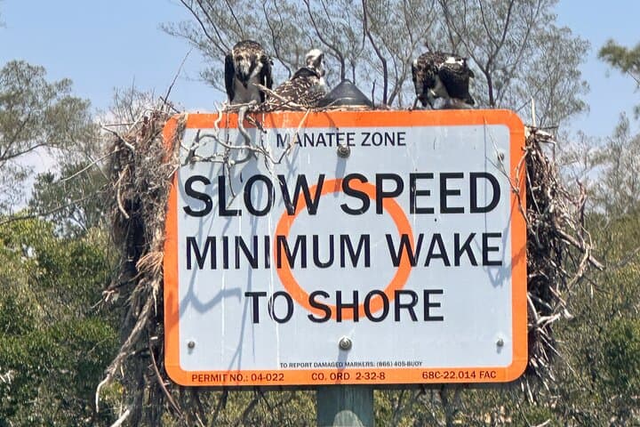 Egmont Key Adventure: Snorkel Fort Dade Ruins & Island Wildlife photo 2