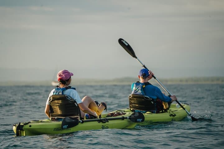 Manuel Antonio Pedal Kayak Tour: Explore Secluded Beaches & Marine Wildlife photo 4