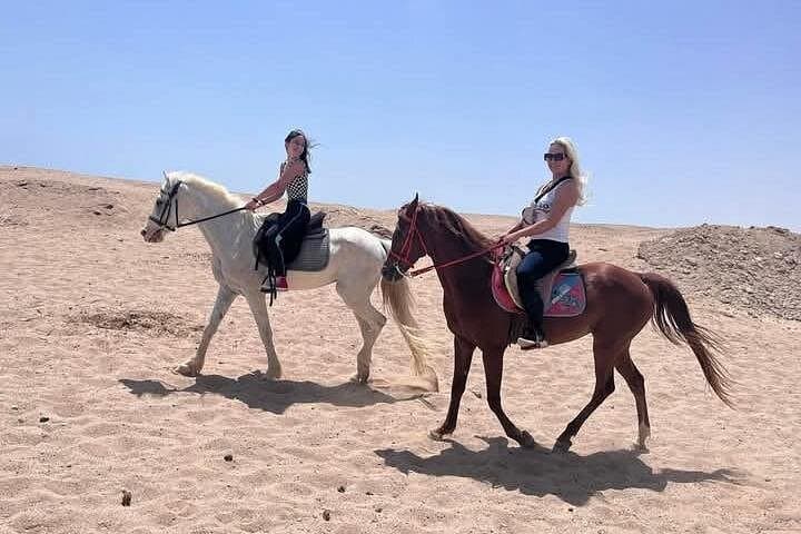 Horse or Camel Ride: Desert Dunes to Red Sea Beaches in Hurghada photo 4