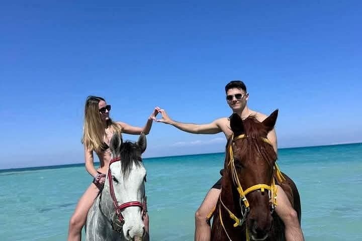 Horse or Camel Ride: Desert Dunes to Red Sea Beaches in Hurghada photo 1