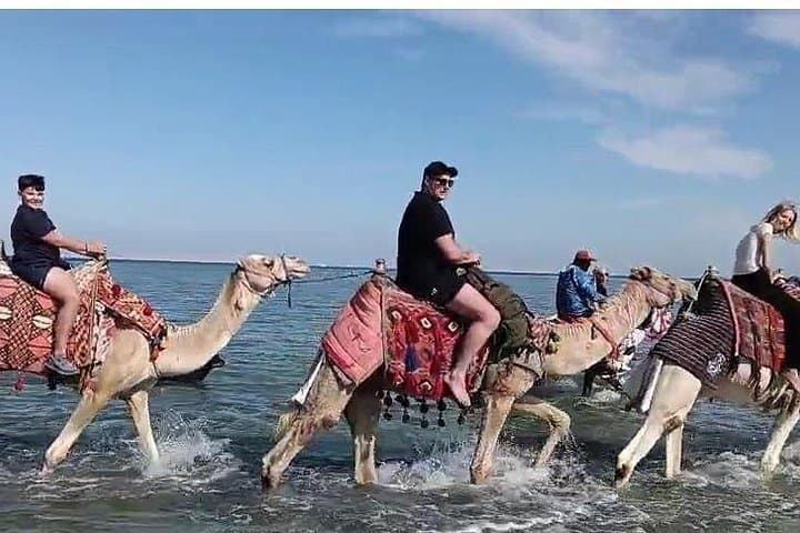 Horse or Camel Ride: Desert Dunes to Red Sea Beaches in Hurghada photo 3