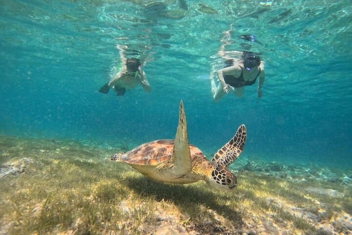 Gili Islands Snorkeling: Swim with Turtles, Underwater Statue & Coral Garden photo 2
