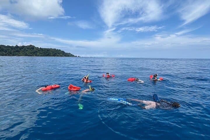 Private Caño Island Snorkel and Discovery Tour from Osa Peninsula photo 4