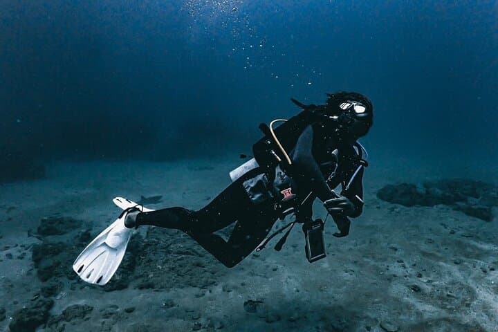 Private Caño Island Snorkel and Discovery Tour from Osa Peninsula photo 5