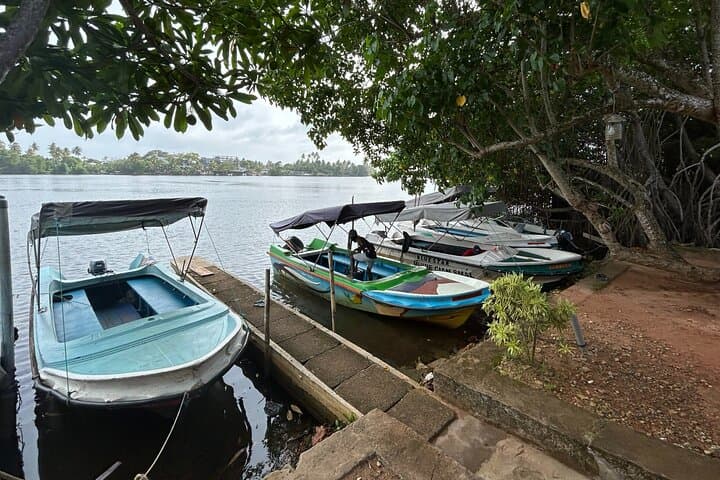 Bentota River Private 2-Hour Safari: Mangroves, Birds & Village Life photo 5
