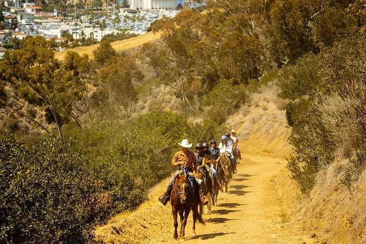 Horseback to the Avalon Overlook: 75-Minute Catalina Island Trail Ride photo 4