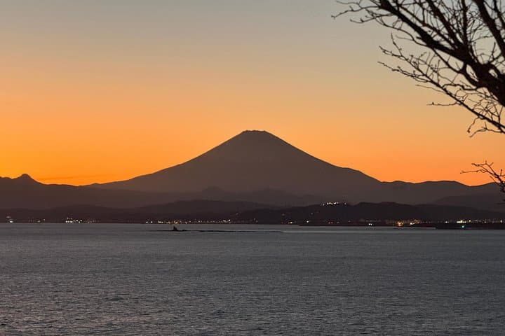 Half-Day Private Kamakura Tour with Local Guide: Temples, Great Buddha & Komachi Dori photo 3