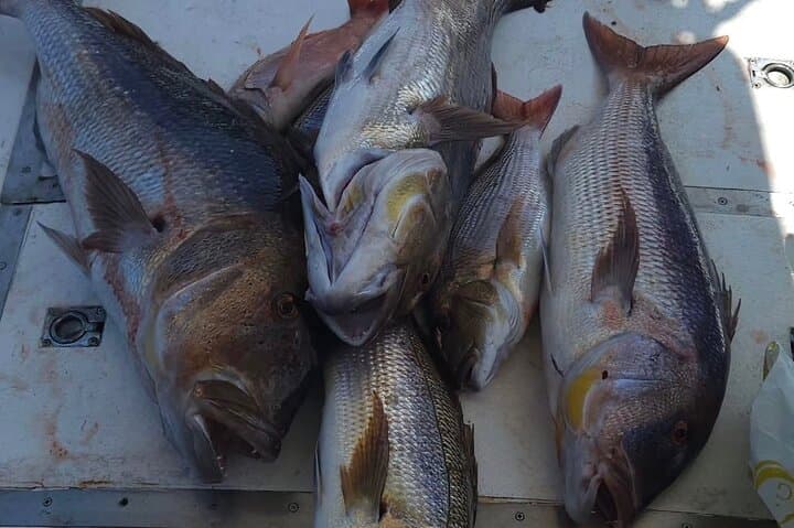 Private Kotor Fishing Charter to Blue Cave & Mamula Island with Lunch photo 5