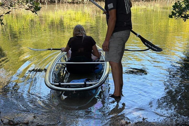 Clear Kayak Mangrove Eco Tour at Clam Bayou — St. Pete 2-Hour Adventure photo 4