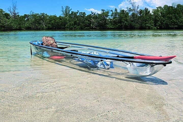 Clear Kayak Mangrove Eco Tour at Clam Bayou — St. Pete 2-Hour Adventure photo 6