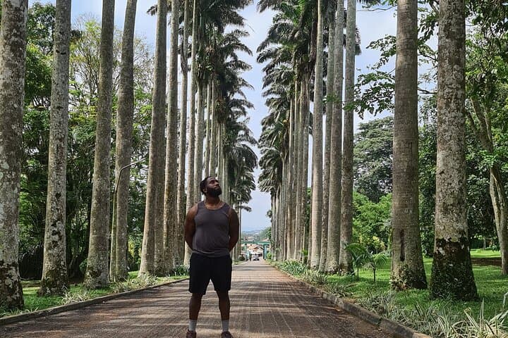 Accra City to Aburi Waterfall Day Tour: Kwame Nkrumah Mausoleum, Botanical Gardens & Lunch
