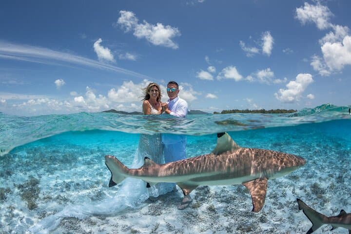 Bora Bora Private Full-Day Aquatic Photo Tour & Resort Photoshoot