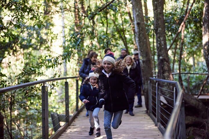 Blue Mountains Half-Day: Scenic World, Echo Point & Leura Village photo 6