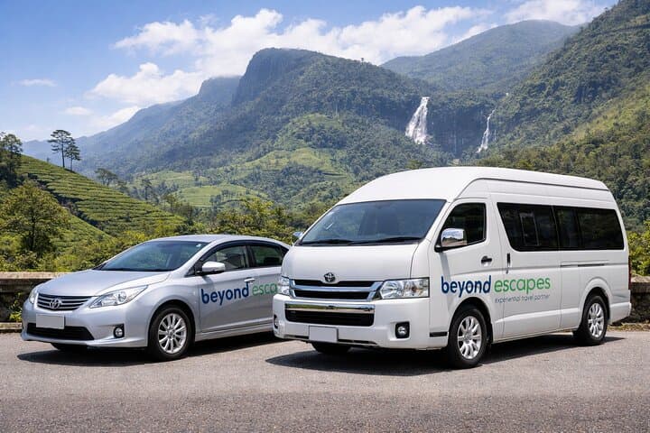 Hill Country to Leopard Country: Private Transfer from Nuwara Eliya to Yala & Hambantota
