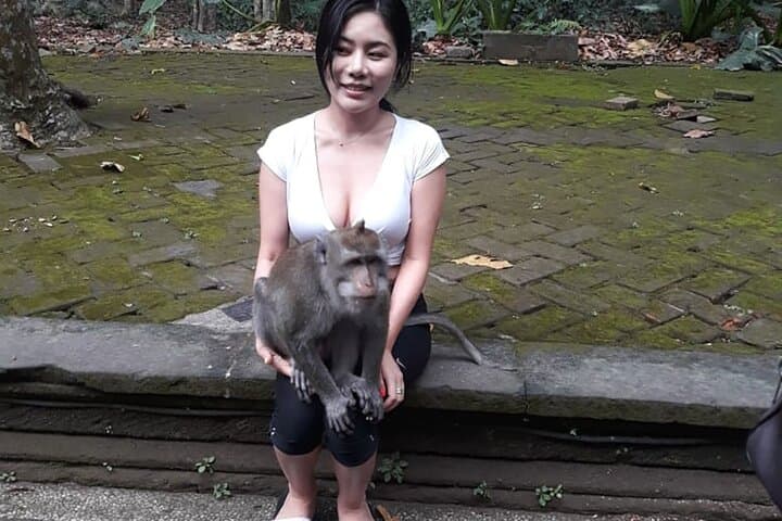Ubud Countryside Day Tour: Tegalalang, Monkey Forest & Tegenungan Waterfall photo 3