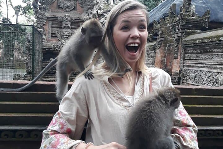 Ubud Countryside Day Tour: Tegalalang, Monkey Forest & Tegenungan Waterfall photo 4