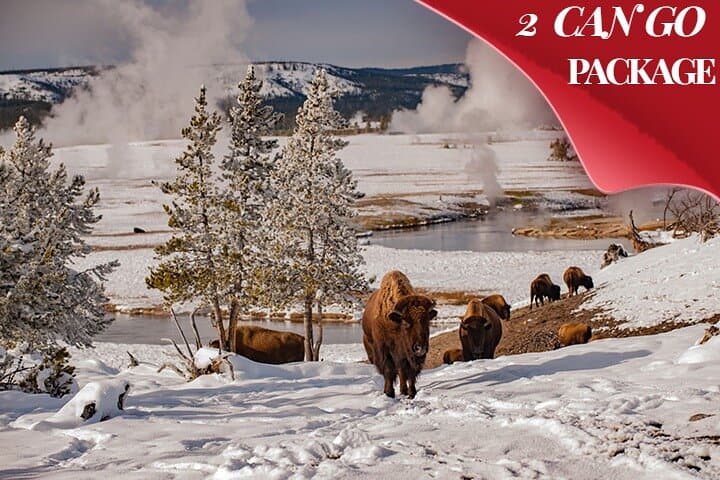 3-Day Yellowstone & Grand Teton Winter Discovery — Snowcoach Tour from Salt Lake City