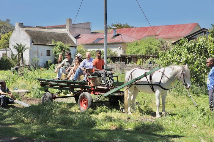 Half-Day Township Tour in Cape Town: Langa & District Six Cultural Walk photo 3