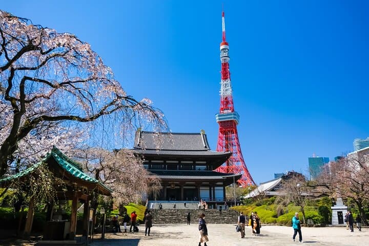 Unlock Hidden Tokyo: Private Custom Walking Tour with a Local Guide photo 2