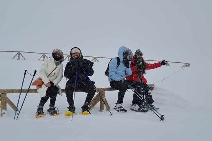 Sofia to Vitosha Snowshoe Hike: Half-Day Winter Escape with Mountain Hut Lunch photo 3