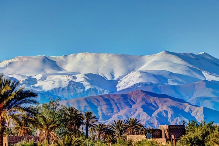 5-Day Merzouga Desert & Imperial Cities Tour from Marrakech — Camel Trek in Erg Chebbi photo 3