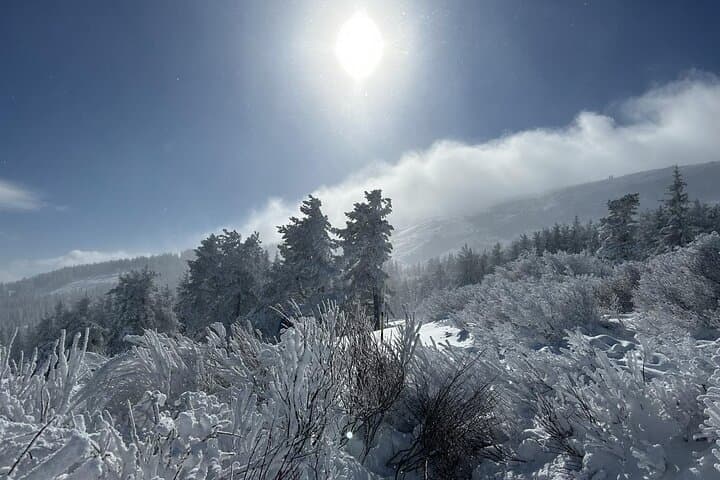 Sofia to Vitosha Snowshoe Hike: Half-Day Winter Escape with Mountain Hut Lunch photo 4