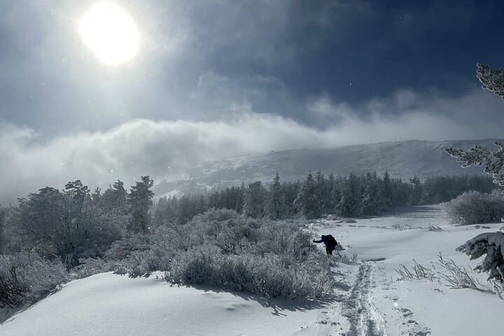Sofia to Vitosha Snowshoe Hike: Half-Day Winter Escape with Mountain Hut Lunch photo 2