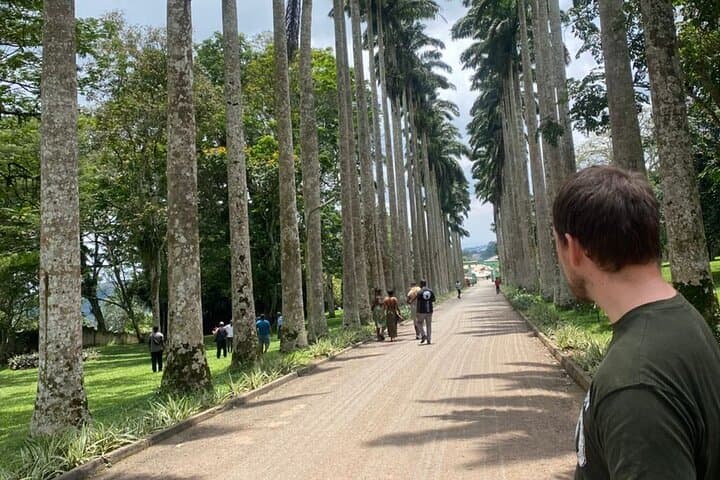 Aburi Day Trip from Accra: Botanical Gardens, Historic Cocoa Farm & Oboadaka Waterfall photo 2