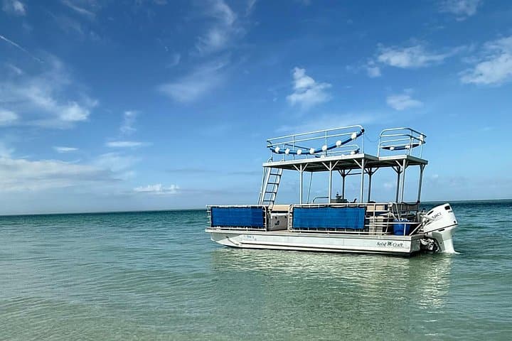 Anna Maria Island Snorkeling & Sandbar Tour — 4-Hour Private Boat Trip photo 1