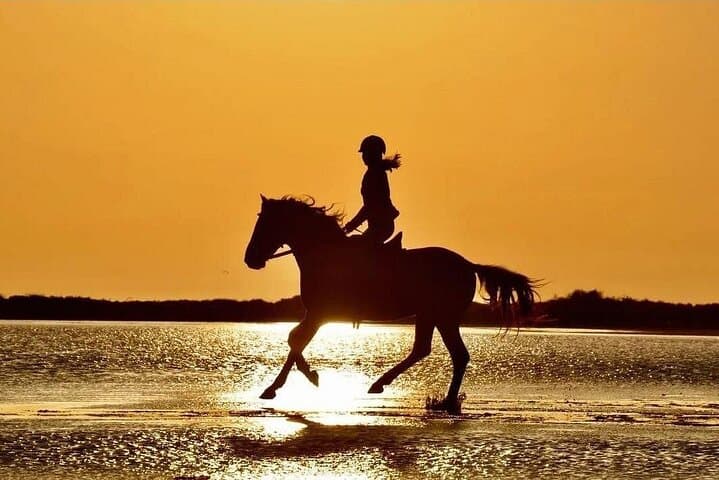Horse Riding in Side: Manavgat Forest to Beach Equestrian Tour photo 2