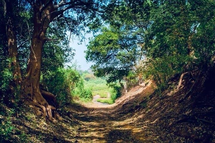 6-Day Niokolo-Koba & Dindefelo Waterfalls Safari and Cultural Immersion
