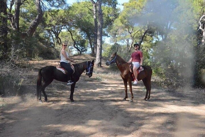 Horse Riding in Side: Manavgat Forest to Beach Equestrian Tour