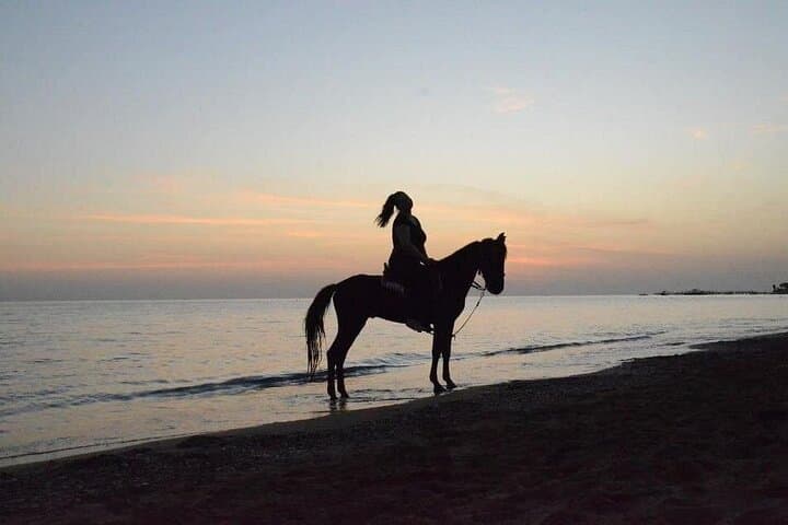 Horse Riding in Side: Manavgat Forest to Beach Equestrian Tour photo 3