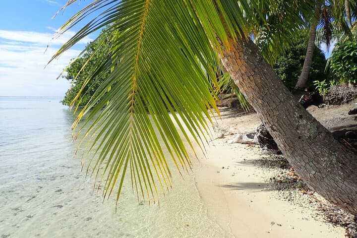 Snorkel Motu Ofetaro: Guided Lagoon Snorkeling & Relaxation in Raiatea photo 6