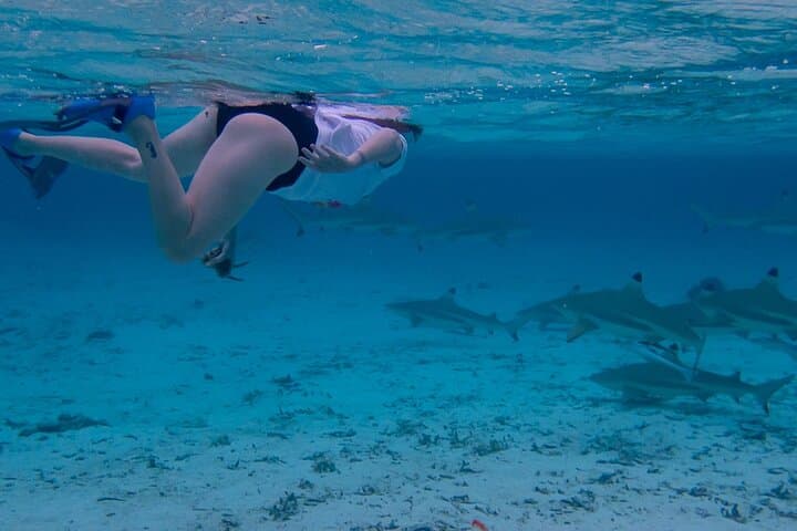 Snorkel Motu Ofetaro: Guided Lagoon Snorkeling & Relaxation in Raiatea photo 4