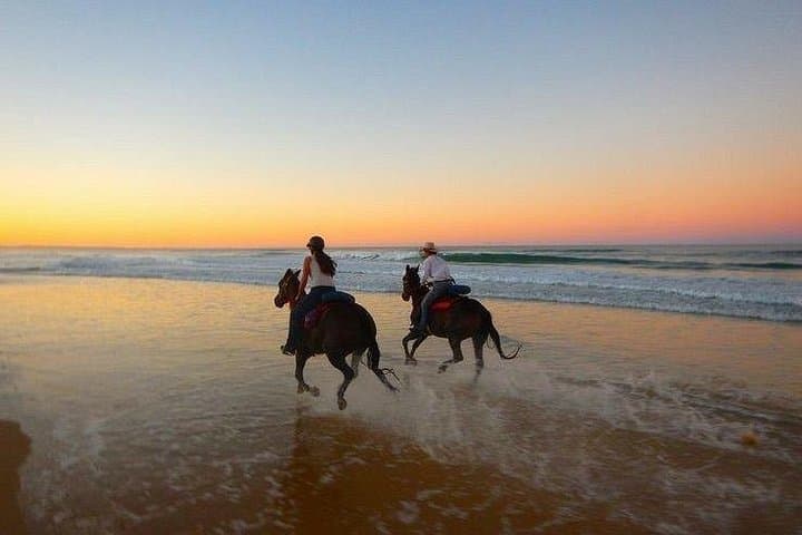 Horseback Riding on Casablanca Beach: Countryside to Coast Ride photo 6