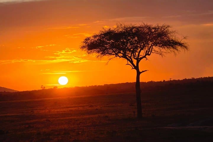 3-Day Samburu National Reserve Safari: Luxury Private Game Drives from Nairobi photo 3